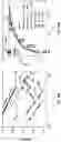 Fig. 32 - Self-assembled elastomers with molecularly encoded tissue-like softness, strain-adaptive stiffening and coloration