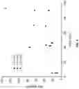 Fig. 04 - High temperature metathesis chemistry