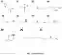 Fig. 03 - Poly(amine-co-ester) polymers and polyplexes with modified end groups and methods of use thereof