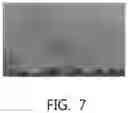 Fig. 05 - Polyimide film comprising omnidirectional polymer chain, method for manufacturing same, and graphite sheet manufactured using same