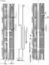 Fig. 09 - SYSTEMS, METHODS AND HYDROGELS FOR CELL CULTURE AND ANALYSIS