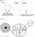 Fig. 13 - SYSTEMS, METHODS AND HYDROGELS FOR CELL CULTURE AND ANALYSIS