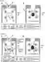 Fig. 17 - SYSTEMS, METHODS AND HYDROGELS FOR CELL CULTURE AND ANALYSIS