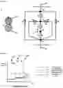 Fig. 24 - SYSTEMS, METHODS AND HYDROGELS FOR CELL CULTURE AND ANALYSIS