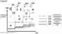 Fig. 28 - SYSTEMS, METHODS AND HYDROGELS FOR CELL CULTURE AND ANALYSIS