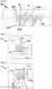 Fig. 57 - SYSTEMS, METHODS AND HYDROGELS FOR CELL CULTURE AND ANALYSIS