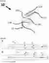 Fig. 62 - SYSTEMS, METHODS AND HYDROGELS FOR CELL CULTURE AND ANALYSIS