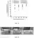 Fig. 08 - HYDROGEL WITH SELECTIVE ABSORPTION FOR SEPARATION OF LIQUID MIXTURES