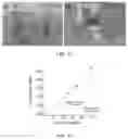 Fig. 09 - HYDROGEL WITH SELECTIVE ABSORPTION FOR SEPARATION OF LIQUID MIXTURES