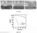 Fig. 16 - HYDROGEL WITH SELECTIVE ABSORPTION FOR SEPARATION OF LIQUID MIXTURES
