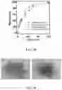 Fig. 25 - HYDROGEL WITH SELECTIVE ABSORPTION FOR SEPARATION OF LIQUID MIXTURES