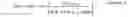 Fig. 02 - High processability polyethylene compositions for injection molded articles