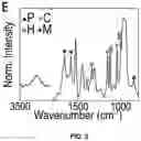 Fig. 04 - Biocomposite materials and related compositions, methods and systems