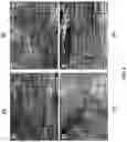 Fig. 05 - Biocomposite materials and related compositions, methods and systems