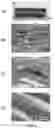 Fig. 07 - Biocomposite materials and related compositions, methods and systems