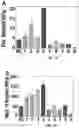 Fig. 12 - Biocomposite materials and related compositions, methods and systems