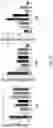 Fig. 14 - Biocomposite materials and related compositions, methods and systems