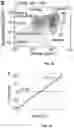 Fig. 17 - Biocomposite materials and related compositions, methods and systems