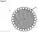 Fig. 04 - Pickering emulsions