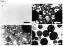 Fig. 08 - Pickering emulsions