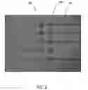Fig. 04 - Catalyst ink for three-dimensional conductive constructs