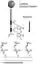 Fig. 01 - Polymers for the treatment of surfaces