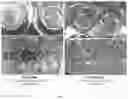 Fig. 10 - CELL CULTURING DEVICE AND METHOD
