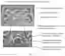 Fig. 12 - CELL CULTURING DEVICE AND METHOD