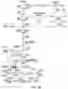 Fig. 03 - Genome-wide rationally-designed mutations leading to enhanced lysine production in 