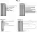 Fig. 04 - WNT COMPOSITIONS AND METHODS OF PROCESS FROM SERUM-FREE CULTURING CONDITIONS