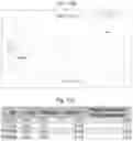 Fig. 19 - WNT COMPOSITIONS AND METHODS OF PROCESS FROM SERUM-FREE CULTURING CONDITIONS