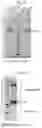 Fig. 31 - WNT COMPOSITIONS AND METHODS OF PROCESS FROM SERUM-FREE CULTURING CONDITIONS
