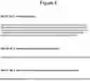 Fig. 05 - Protein engineered extracellular vesicles