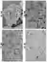 Fig. 41 - MORPHOGENIC COMPOUND-RELEASING MICROSPHERES AND USE IN BIOINK