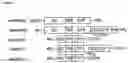 Fig. 02 - T-CELL RECEPTOR-DEFICIENT T CELL COMPOSITIONS