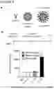 Fig. 06 - METHOD FOR GENERATING CELLS OF THE T CELL LINEAGE