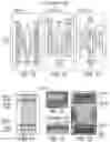 Fig. 02 - Methods for preparing therapeutically active cells using microfluidics