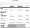 Fig. 04 - Method for differentiation of human pluripotent stem cell lines in suspension culture