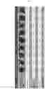 Fig. 10 - Method for differentiation of human pluripotent stem cell lines in suspension culture