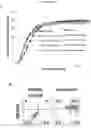 Fig. 15 - Method for differentiation of human pluripotent stem cell lines in suspension culture
