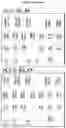 Fig. 23 - Method for differentiation of human pluripotent stem cell lines in suspension culture