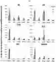 Fig. 24 - Method for differentiation of human pluripotent stem cell lines in suspension culture