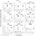 Fig. 26 - Method for differentiation of human pluripotent stem cell lines in suspension culture