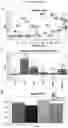 Fig. 31 - Method for differentiation of human pluripotent stem cell lines in suspension culture