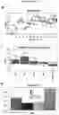 Fig. 33 - Method for differentiation of human pluripotent stem cell lines in suspension culture