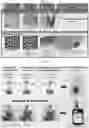 Fig. 46 - Method for differentiation of human pluripotent stem cell lines in suspension culture