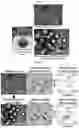 Fig. 60 - Method for differentiation of human pluripotent stem cell lines in suspension culture