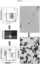 Fig. 64 - Method for differentiation of human pluripotent stem cell lines in suspension culture