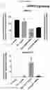 Fig. 68 - Method for differentiation of human pluripotent stem cell lines in suspension culture