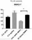 Fig. 69 - Method for differentiation of human pluripotent stem cell lines in suspension culture